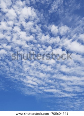 Beautiful sky with white cloud. Background 