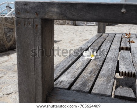 alone on the beach