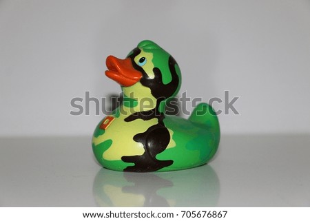 green duck in the studio