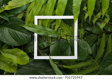 Creative layout made of leaves with white paper frame. Flat lay. Nature concept