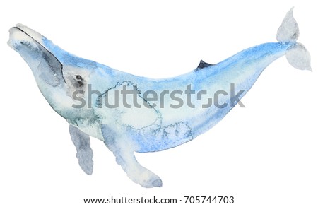 Hand painted watercolor blue whale in cartoon style. Sea mammal. Isolated on white.