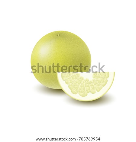 Illustration of Isolated colored yellow whole and slice of juicy pomelo with shadow on white background. Realistic wedge citrus fruit
