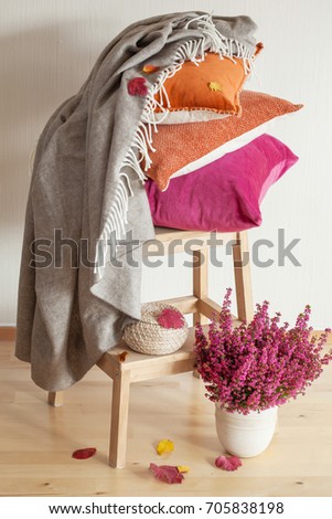 colorful cushions throw cozy home autumn mood flower leaf
