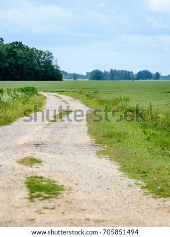 gravel road in sunny summer countryside with perspective - vertical, mobile device ready image