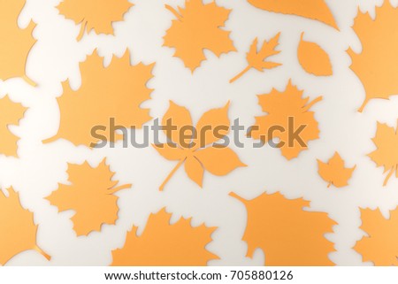 composition of various autumn leaves isolated on white