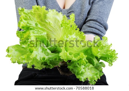 Lettuce in a hand isolated on the white background