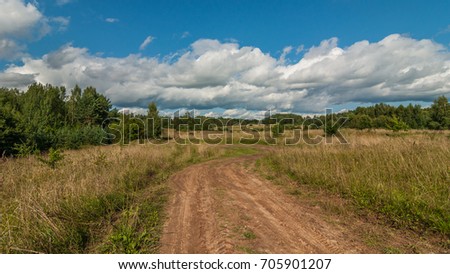 summer countryside. rural dirt road through the summer field with dry high grass and bushes under the blue cloudy sky