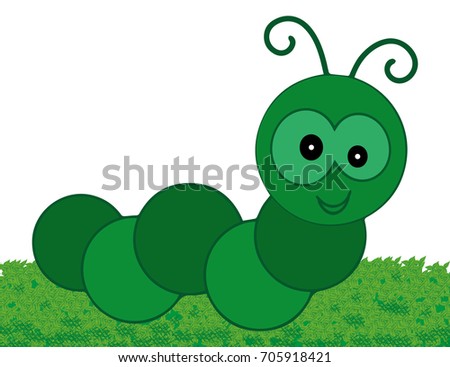 green centipede profile