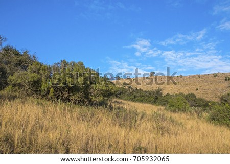 Rural dry winter vegetation hills and valleys against blue cloudy sky wilderness landscape in South Africa