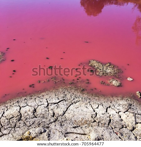 Square picture of crop natural pink lake and dry earth Royalty-Free Stock Photo #705964477