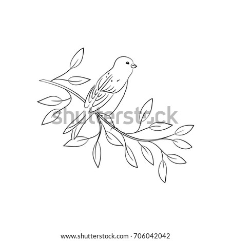 vector black white contour simple illustration of bird on the branch tree