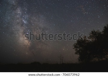 The center of our home galaxy, the Milky Way rising over the field, the night stars landscape, the tree under stars 