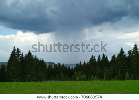 Spring forest glade on top of a hill with rain coming over the river from a thundercloud in the background