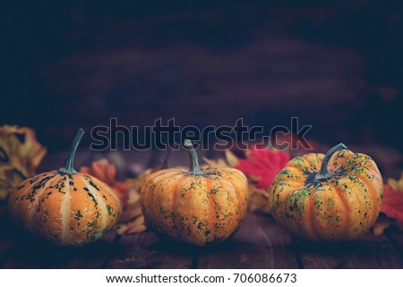 Autumn pumpkins with colorful leaves on the old wooden background