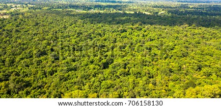 Top view Aerial photo from flying drone over Green forest.