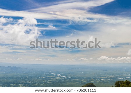 Pine forest on mountain with blue sky