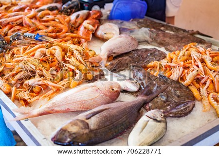 Close up picture of fresh seafood on plate in a fish market