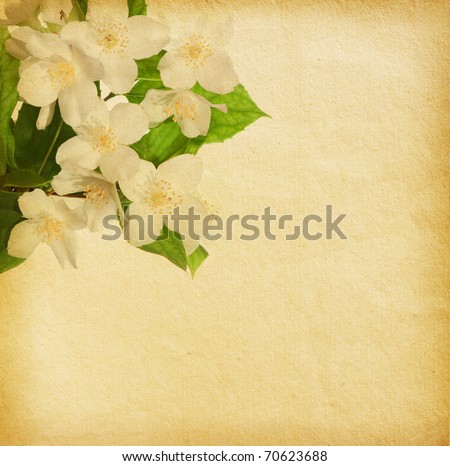 old paper textures with jasmine blossom