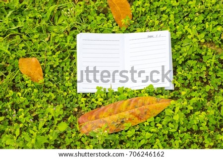 Notepad tree blurry background. using wallpaper or background for education, business photo. Take note of the product for book with paper and concept or copy space and note.