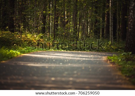 The way in the park with tree for exercise and relax. Nature background