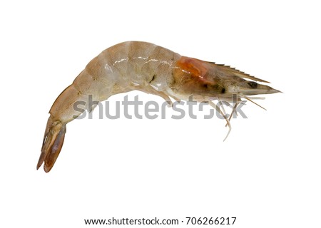 Close up one shrimp isolated on white background. Clipping path.