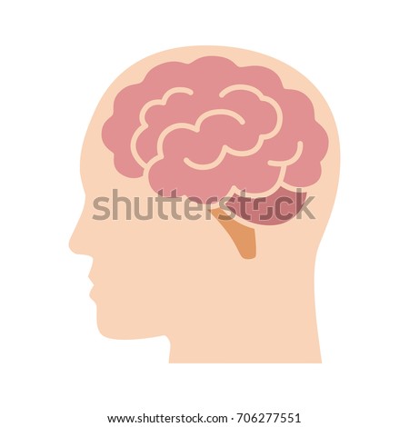 Brain or mind side view inside head flat vector color icon for medical apps and websites