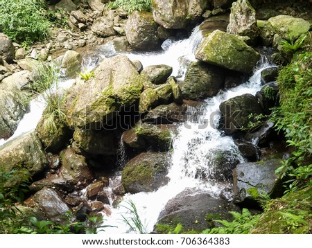 Stones. Mountain stream. The rocky shore. Water flows over rocks. 