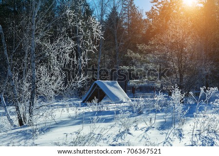 Small house in the winter forest