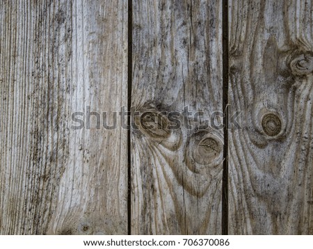 Old plank wooden door background. The texture of old weathered wood with knots.