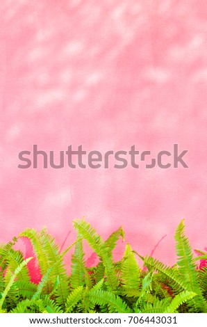 Green tree in front of pink wall (natural light), Pink background. Pink design background.
