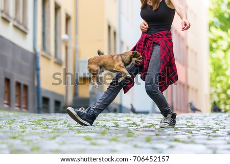 picture of a young woman who lets her small dog jumping over the leg