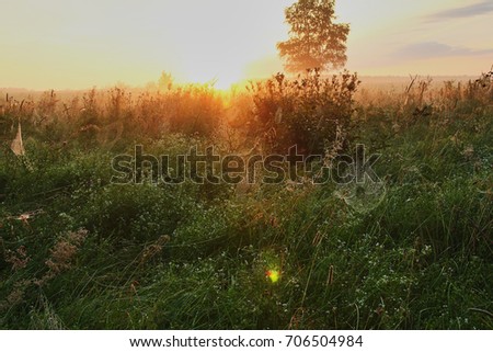 landscape photo of the dawn in August
