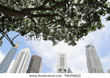 Trees in big cities