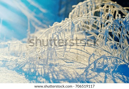 Winter landscape. Winter beauty scene