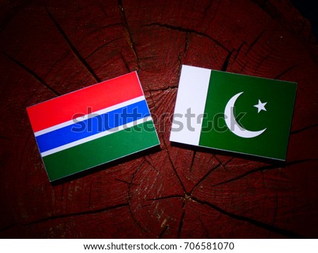 Gambia flag with Pakistan flag on a tree stump isolated
