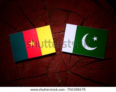 Cameroon flag with Pakistan flag on a tree stump isolated