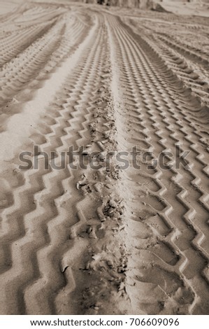 traces in the sand