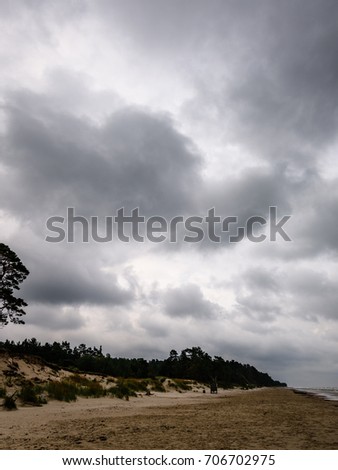 View of a stormy coast beach in the morning with lonely trees. Latvia, Liepaja. sun rays through the dramatic clouds - vertical, mobile device ready image