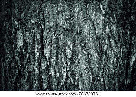 Background texture photo of a black and white relief of the bark of a pussy-willow tree and oak close-up as a substrate under the inscription or site