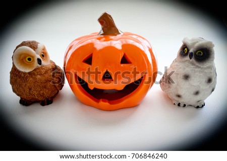 Jack o lantern and the couple owl, halloween will come this october.