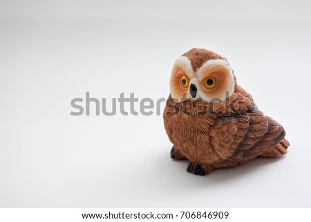 Brown owl raisin on white background. 
