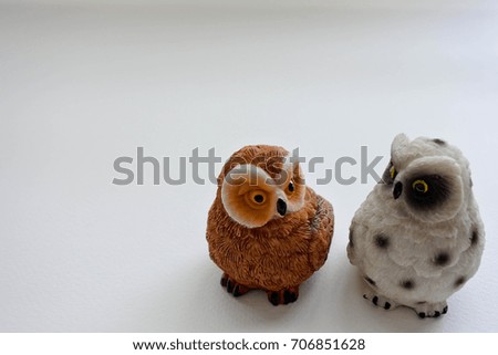 a couple of owl raisin stand and look together on white background.