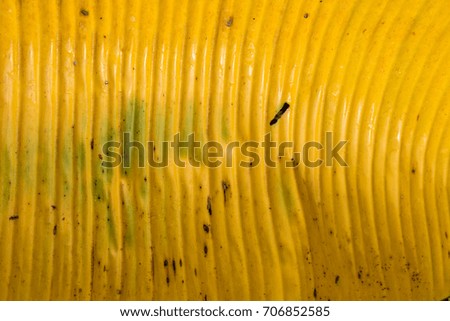 yellow banana leaf  texture background