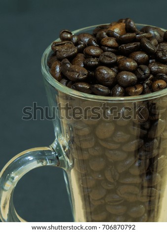 Coffee Bean in Black Background