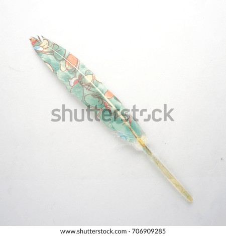 colorful green printed feather isolated on white background