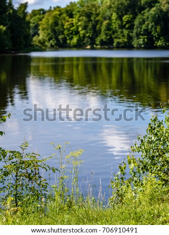 reflection of clouds in the lake with forest  and trees in background and summer flowers in foreground - vertical, mobile device ready image