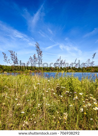 reflection of clouds in the lake with forest  and trees in background and summer flowers in foreground 