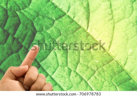 The man's hand on leaf background.	
