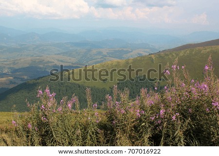Mountain landscape. Forest hills of Carpathian mountains. Europe, Ukraine. Landscape view. Stock photo