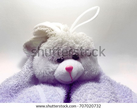 Rabbit doll is Covering clothes
